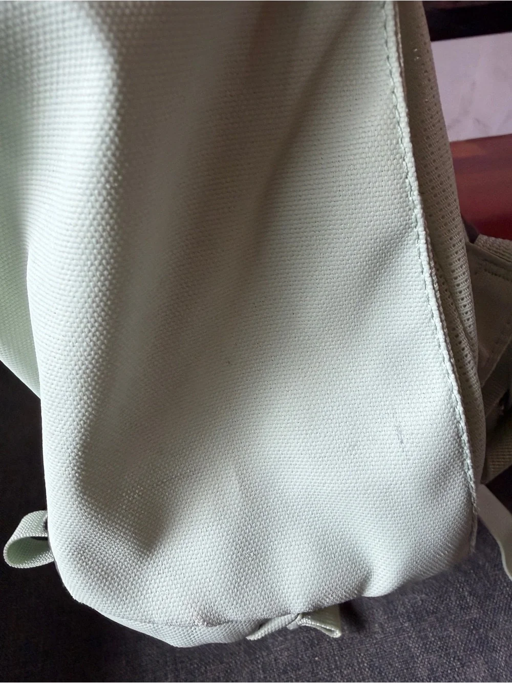 The North Face Mint Green Everyday Backpack